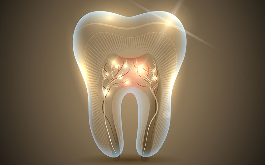 Root Canal Therapy | Dental on 8th | SE Calgary | General and Family Dentist